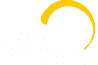 Logotipo de Grupo Salinas